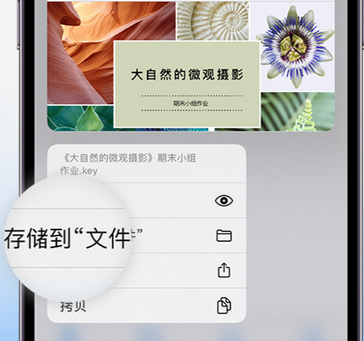 沙湖原种场apple维修中心分享iPhone文件应用中存储和找到下载文件