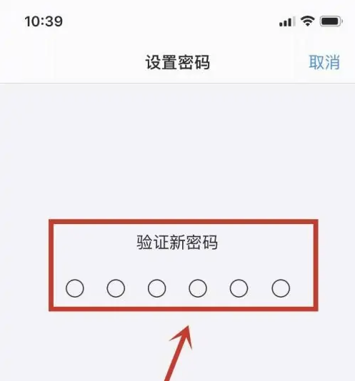 沙湖原种场苹果手机维修分享:如何安全的使用iPhone14？iPhone14解锁方法 