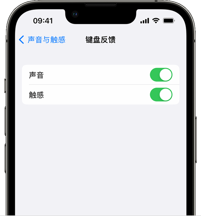 沙湖原种场苹果14维修店分享如何在 iPhone 14 机型中使用触感键盘 