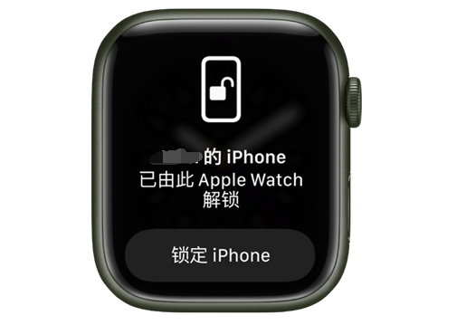 沙湖原种场苹果手机维修分享用 AppleWatch 解锁配备面容 ID 的 iPhone方法 