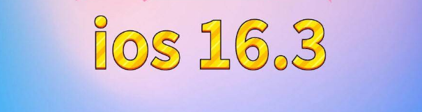 沙湖原种场苹果服务网点分享苹果iOS16.3升级反馈汇总 