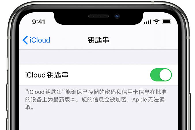 沙湖原种场苹果手机维修分享在 iPhone 上开启 iCloud 钥匙串之后会储存哪些信息 