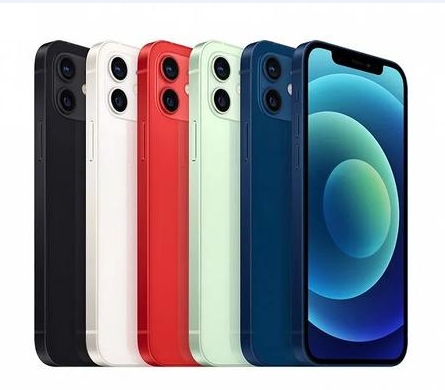 沙湖原种场苹果维修点分享iPhone 12 Pro Max黑屏冷门故障解读 