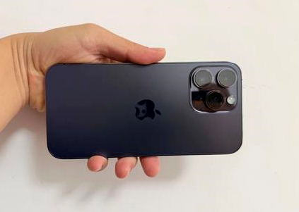 沙湖原种场苹果维修点分享iPhone 14 Pro Max黑屏少见故障盘点 